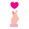 Section Icon
